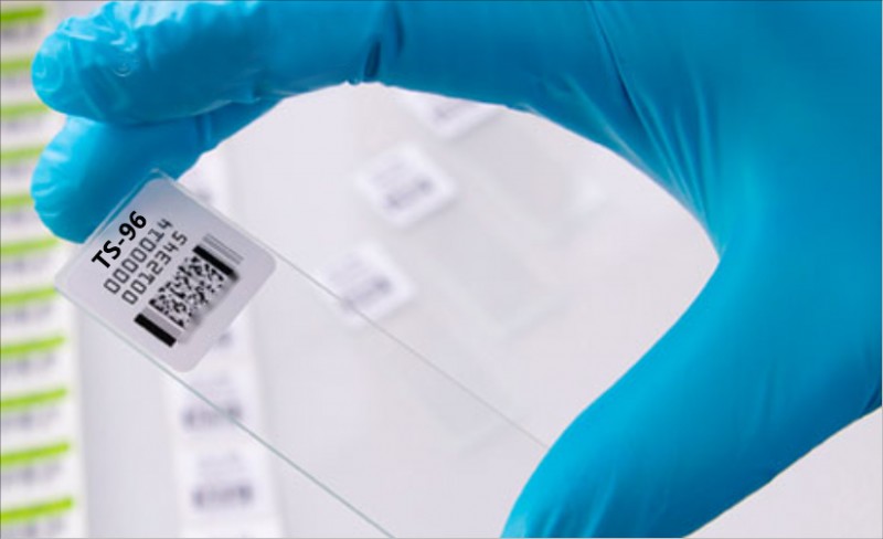 玻片標(biāo)簽.png 玻片標(biāo)簽.png