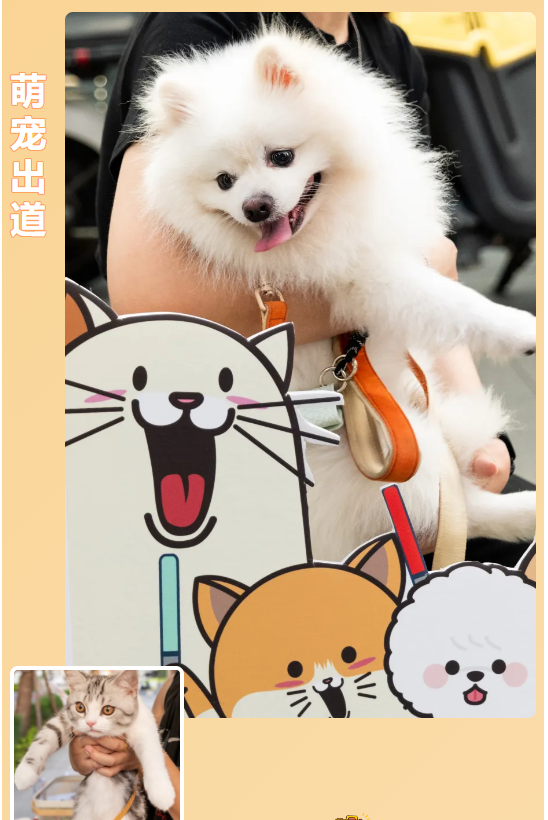 寵物定制1.png 寵物定制1.png