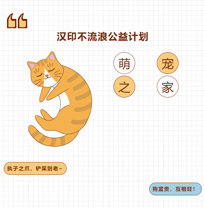 漢印不流浪公益計劃.png 漢印不流浪公益計劃.png