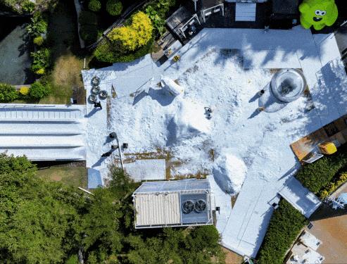 Hanin_10.JPG Hanin_10.JPG